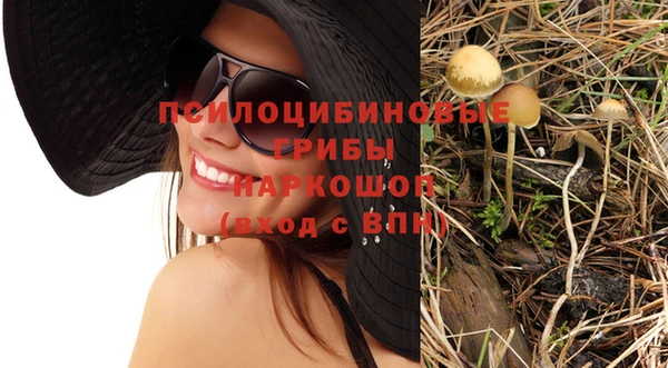 прущие грибы Арсеньев
