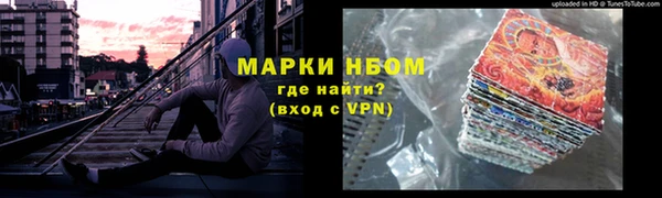 прущие грибы Арсеньев