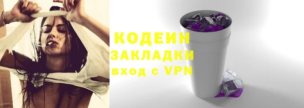 прущие грибы Арсеньев