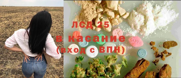 прущие грибы Арсеньев