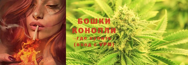 прущие грибы Арсеньев