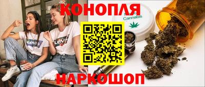 хмурый Тула
