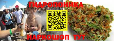 хмурый Тула