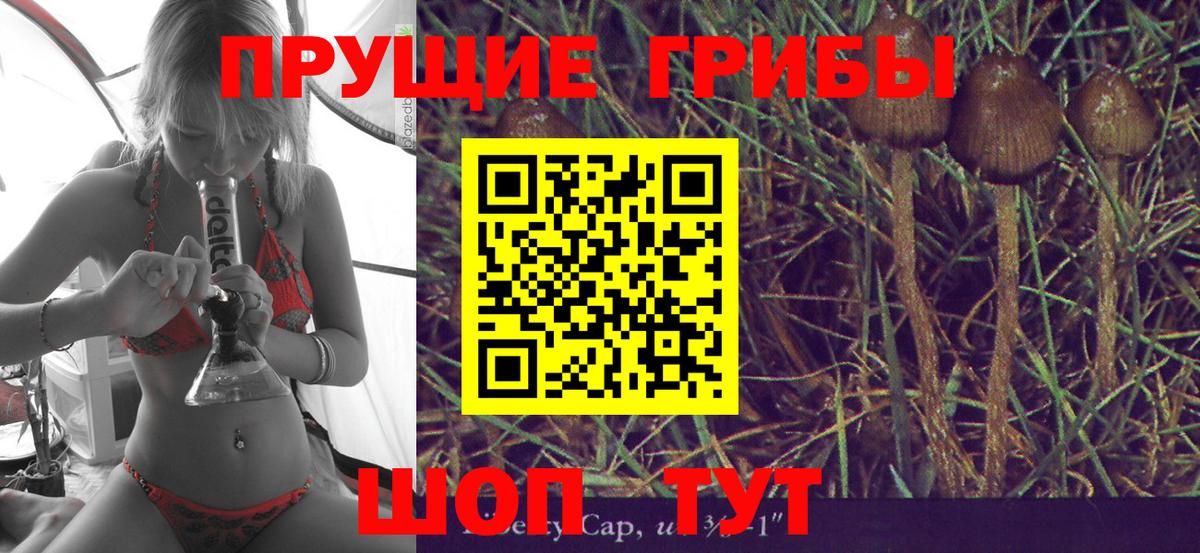 Галлюциногенные грибы Cubensis Петровск