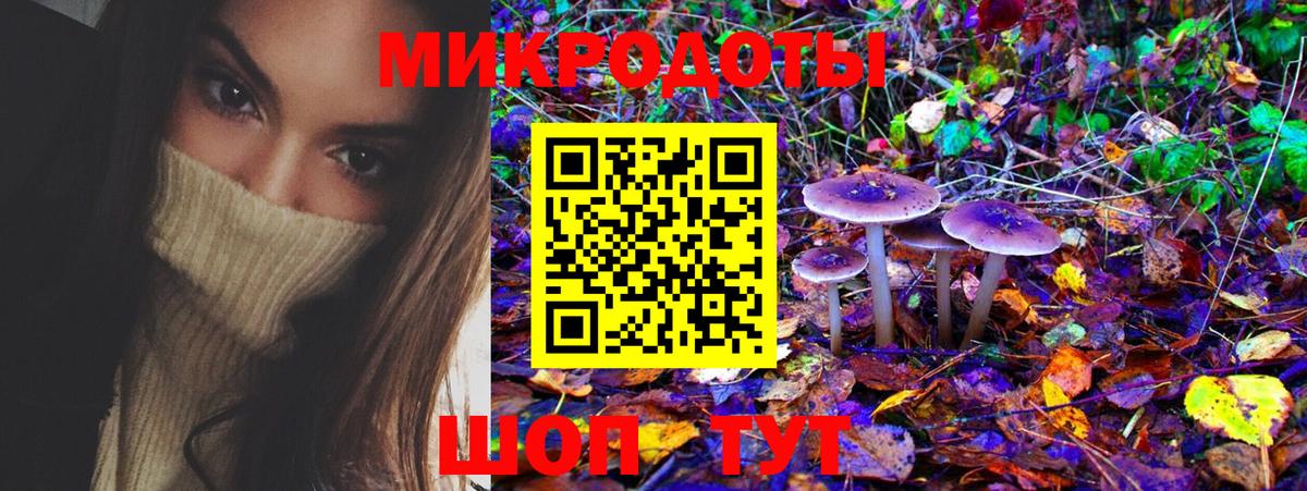 Галлюциногенные грибы GOLDEN TEACHER  Галлюциногенные грибы Cubensis  Петровск  Вход с VPN 